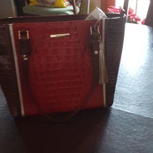 BRAHMIN  MEDIUM LAVA  MISHA  ,#32